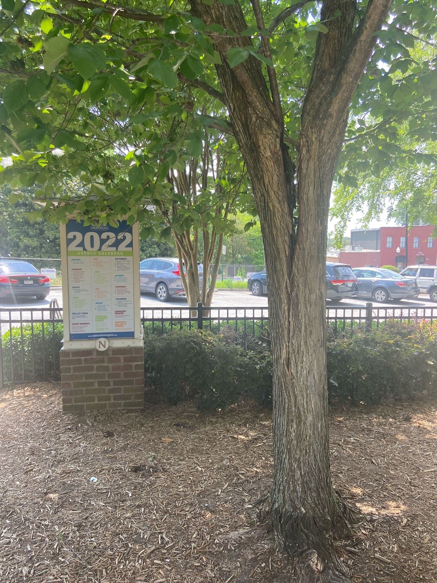 Thrasher Split Elm 1